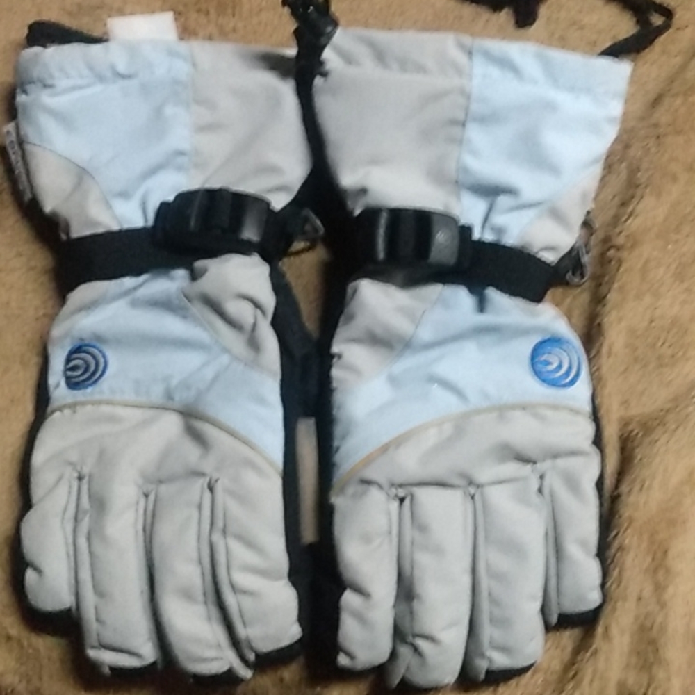 Ski gloves